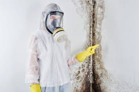 Best Comprehensive Air Testing for Mold Contaminants  in Bartlesville, OK